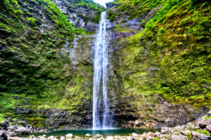 Community Coalition Kauai